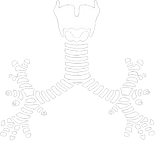 Бронхология и ЛОР