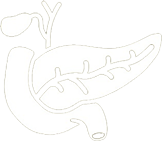 Панкреато-билиарная система