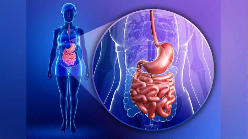 Функциональная гастроэнтерология