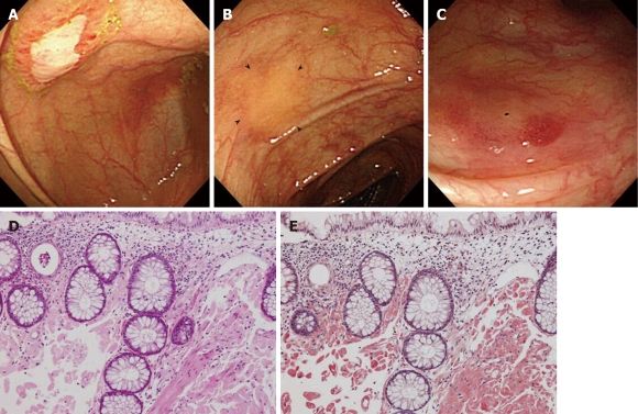 image003.jpg image003.jpg