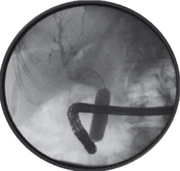 image001.jpg image001.jpg