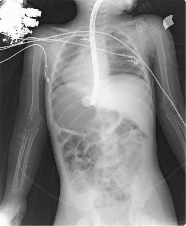 image001.jpg image001.jpg