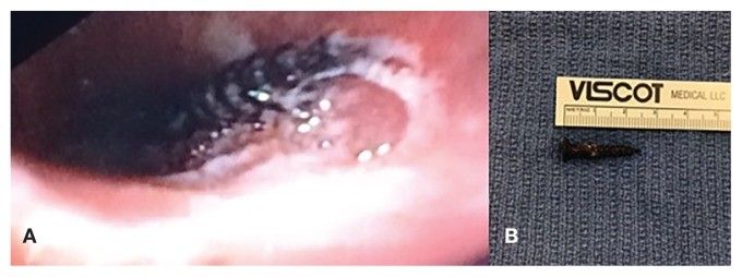 image007.jpg image007.jpg