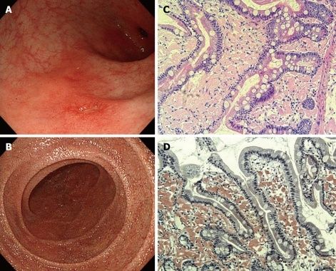 image009.jpg image009.jpg