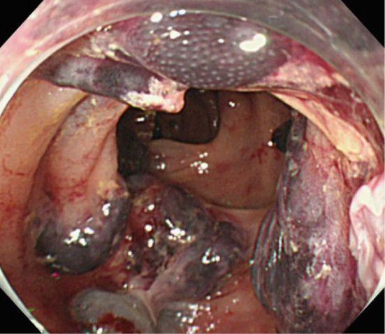 image004.jpg image004.jpg