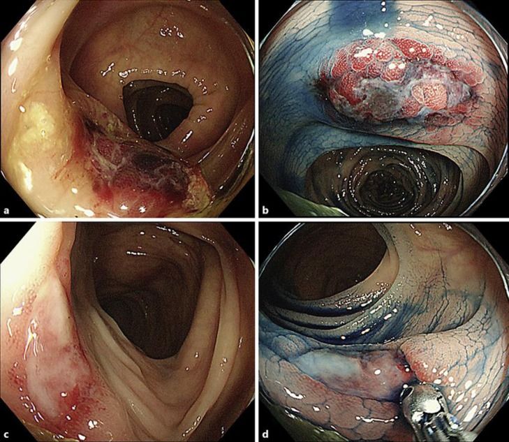 image007.jpg image007.jpg