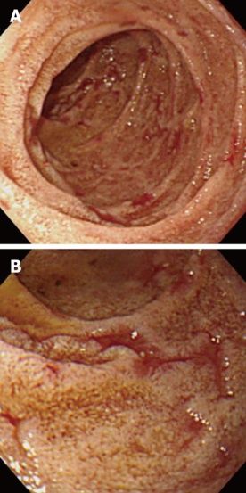 image010.jpg image010.jpg