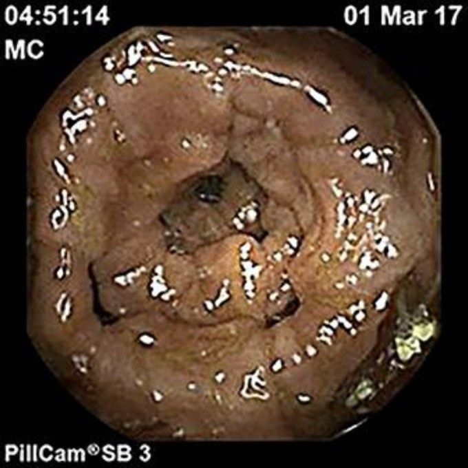 image007.jpg image007.jpg