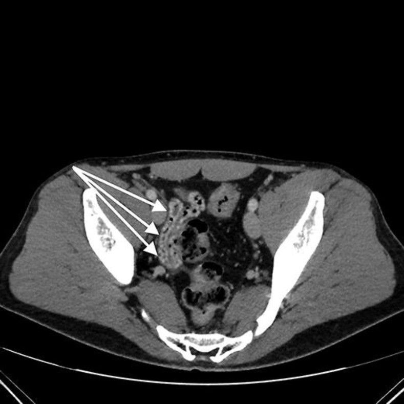 image003.jpg image003.jpg