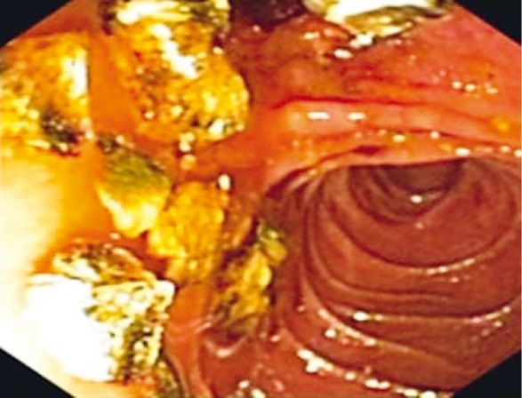 image005.jpg image005.jpg