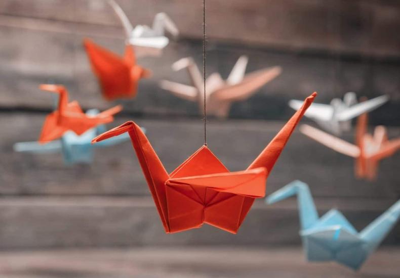 Международный день «Врачи мира за мир»