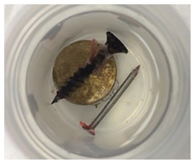 image009.jpg image009.jpg