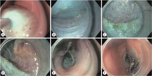 image001.jpg image001.jpg