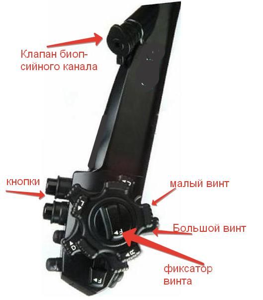 EndoExpert109.jpg EndoExpert109.jpg