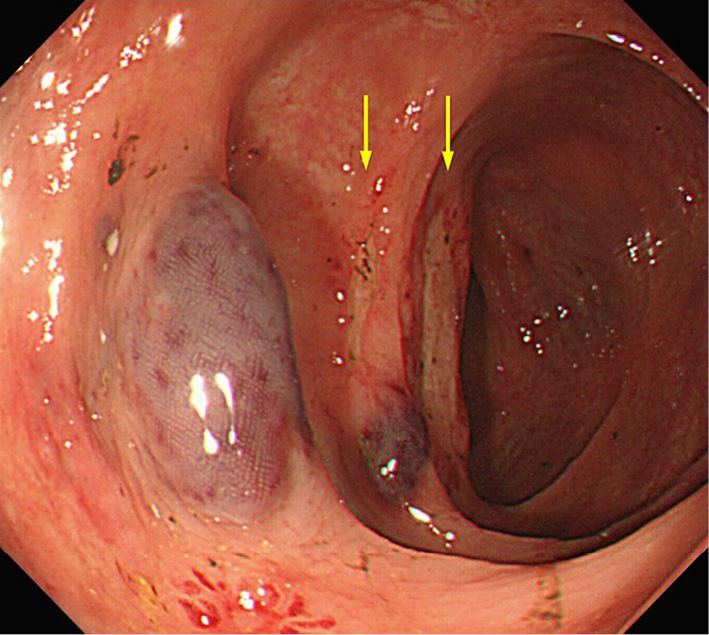 image005.jpg image005.jpg