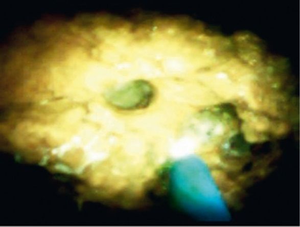 image003.jpg image003.jpg