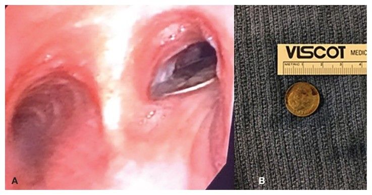 image005.jpg image005.jpg