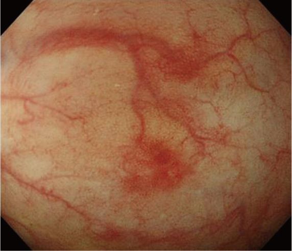 image012.jpg image012.jpg