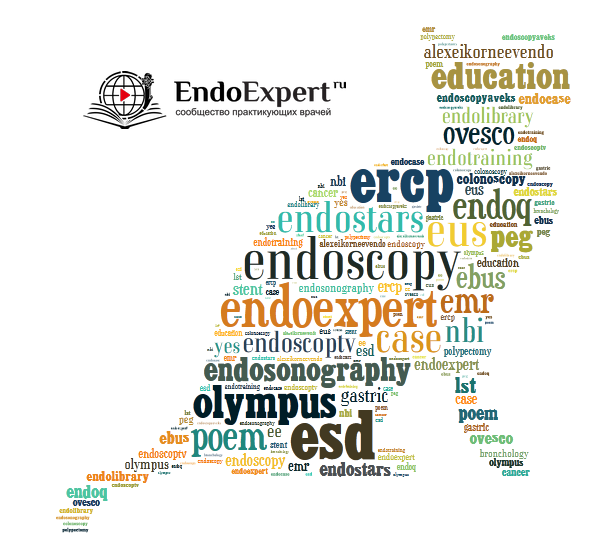 ЭндоКошка Бр.png