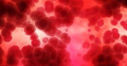 Ведение невариксного кровотечения из верхних отделов желудочно-кишечного тракта: руководящие рекомендации Международной консенсусной группы 2019 (Перевод последнего гайдлайна по кровотечениям)