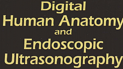 Digital Human Anatomy and EUS Bhutani 2005