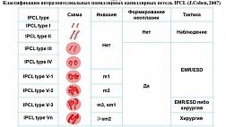 Классификация интраэпителиальных капиллярных петель IPCL по Inoue (2007 г.)