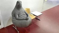 Не действующий вариант от 2014 года от Эндоскопистов Н.Новгорода: Об утверждении  Правил проведения эндоскопических исследований, лечебно-диагностических и малоинвазивных оперативных эндоскопических процедур