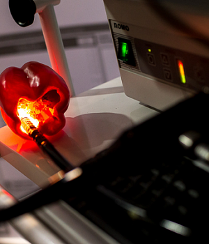 Фотоотчет от 27.03.19 с образовательного проекта QuaCol г. Санкт-Петербург