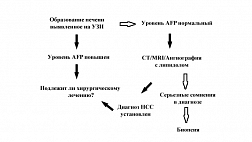Руководство по диагностики и лечению гепатоцеллюлярной карциномы у взрослых