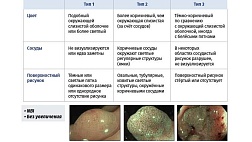 NICE - International Colorectal Endoscopic classification NBI — объединённая эндоскопическая классификация колоректальных неоплазий