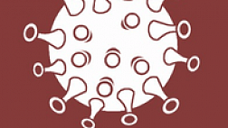 Утверждены методические рекомендации "Анестезиолого-реанимационное обеспечение пациентов с новой коронавирусной инфекцией COVID-19"  11 июля 2020