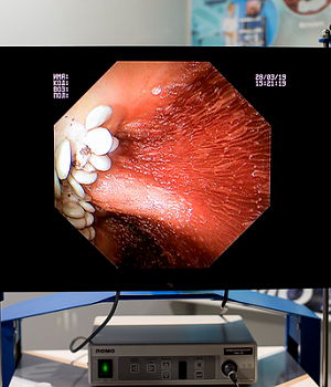 Фотоотчет от 27.03.19 с образовательного проекта QuaCol г. Санкт-Петербург