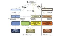 Новое в классификации доброкачественных эпителиальных опухолей толстой кишки (ВОЗ, 2019, 5-е издание