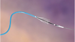 ОПЕРАТИВНАЯ ДУОДЕНОСКОПИЯ учебное пособие Fedorov 2008