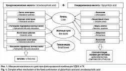 Желчнокаменная болезнь: эпидемиологические данные, ключевые аспекты патогенеза и коморбидности, актуальные терапевтические мишени