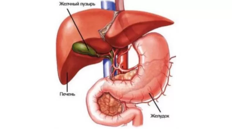 ДГР в гастроэнтерологии