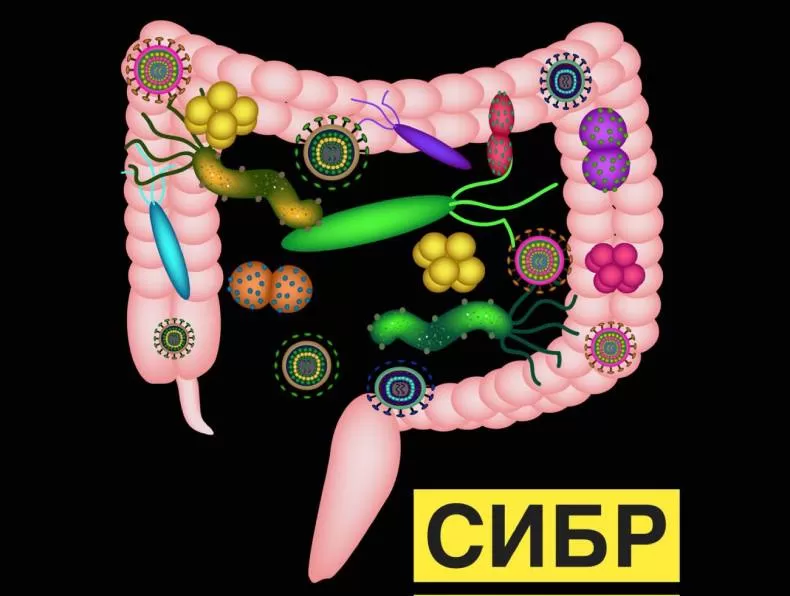 СИБР в гатсроэнтерологии