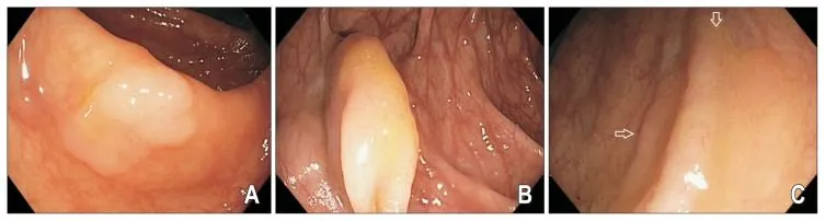 image003.jpg image003.jpg