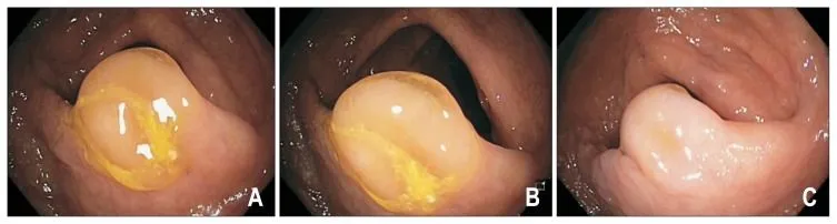 image005.jpg image005.jpg