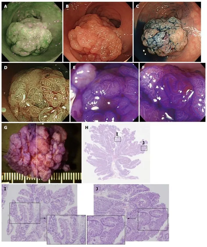 image011.jpg image011.jpg