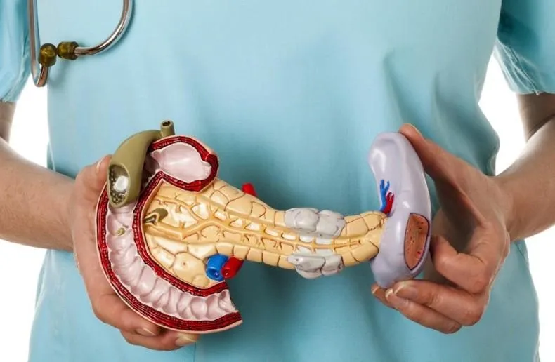 Панкреатит: причины возникновения и профилактика Панкреатит: причины возникновения и профилактика