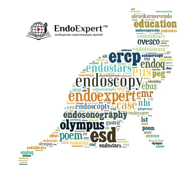 ЭндоКошка Бр.png