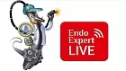 11.02.26 «Эндотерапия эпителиальных образований толстой кишки» Образовательный проект Every Adenoma Counts