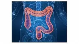 Клинические рекомендации подготовка пациентов к эндоскопическому исследованию толстой кишки