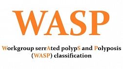 Классификация WASP: дифференциальная диагностика гиперпластических полипов, зубчатых аденом и обычных аденом толстой кишки