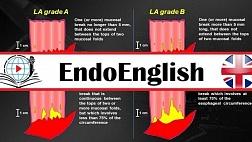 LA Classification, Part 1. МЕДИЦИНСКИЙ АНГЛИЙСКИЙ